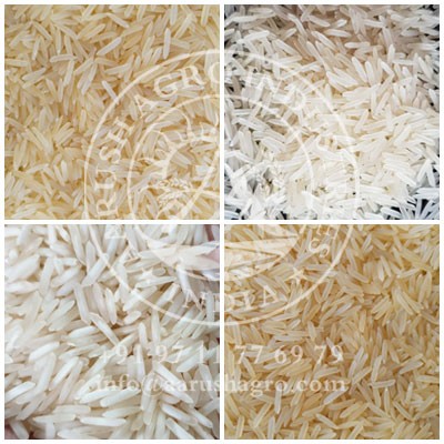 BASMATI RICE