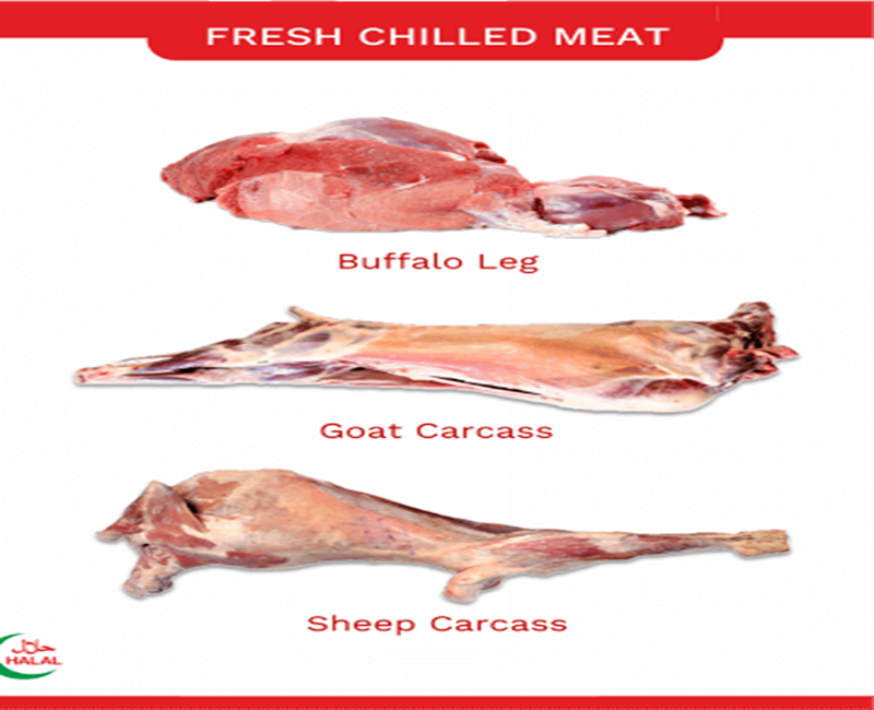 Sheep Carcass, Goat Carcass & Buffalo Leg