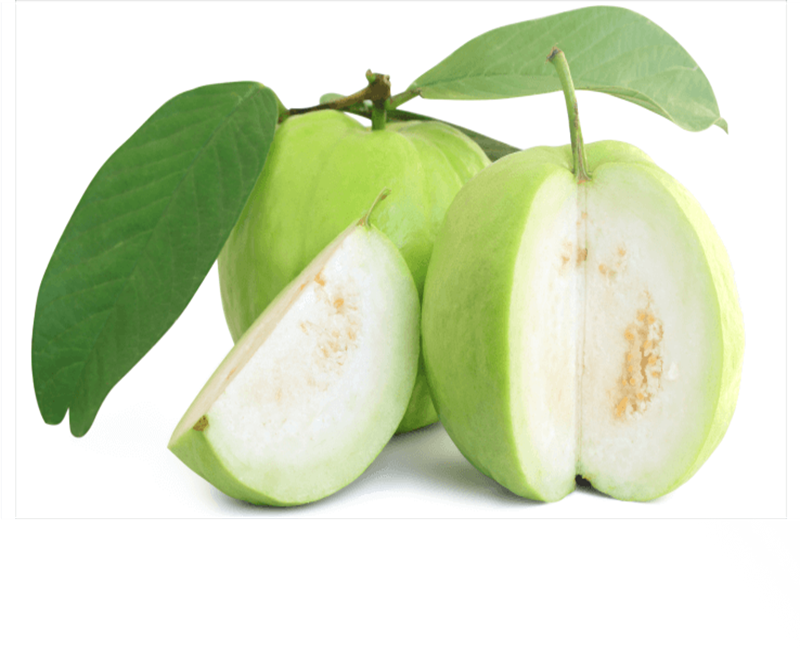 GUAVA