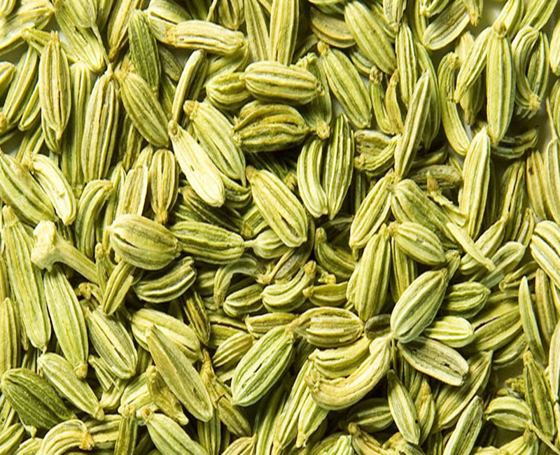 Fennel Seeds