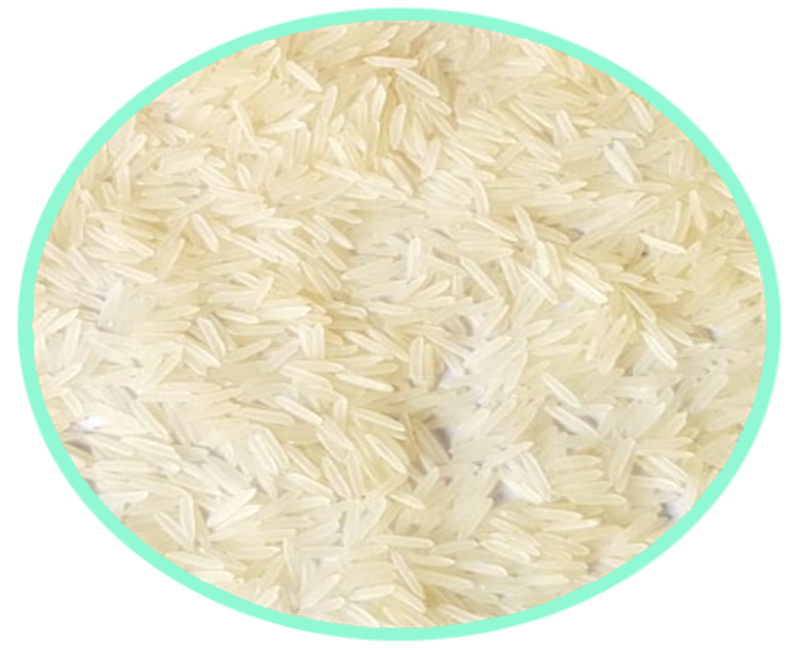 1509 Raw Basmati Rice
