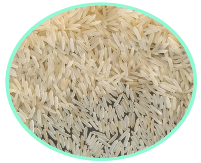 1509 Golden Sella Basmati Rice