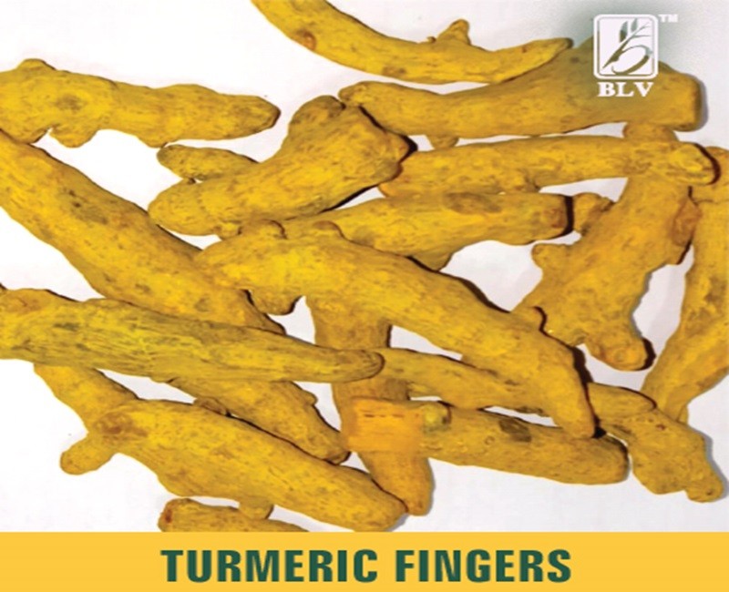 Turmeric Fingers