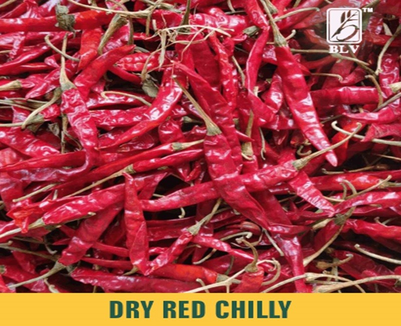 Dry Red Chilli
