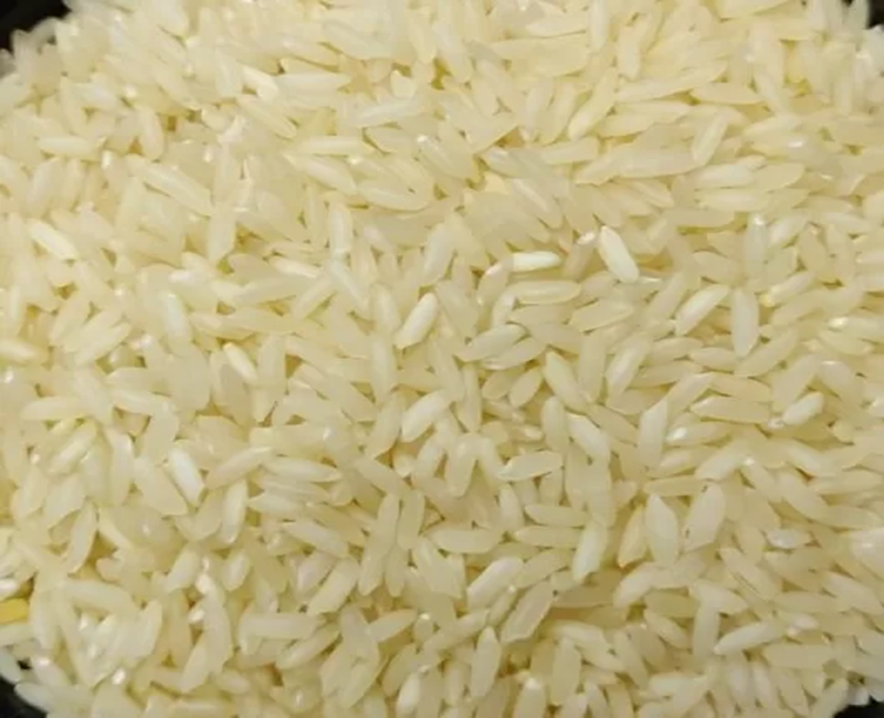 Sona Masoori Raw Rice