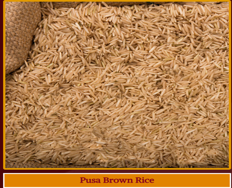 Pusa Brown Rice