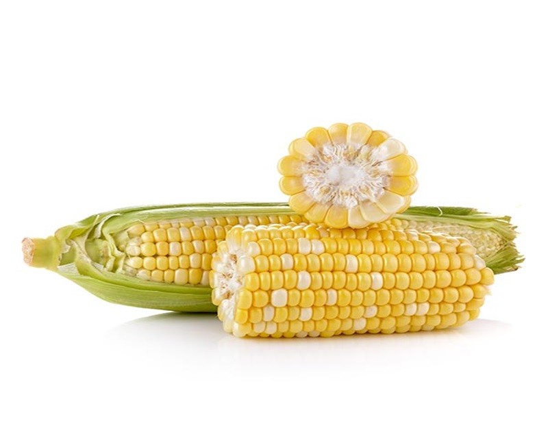 MAIZE