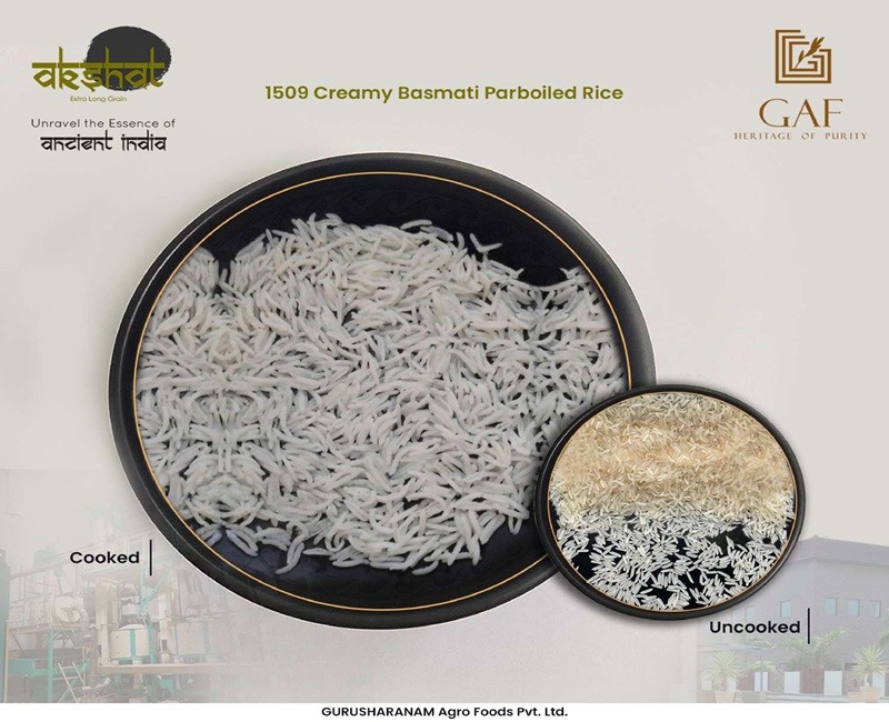 1509 Creamy Basmati parboiled rice