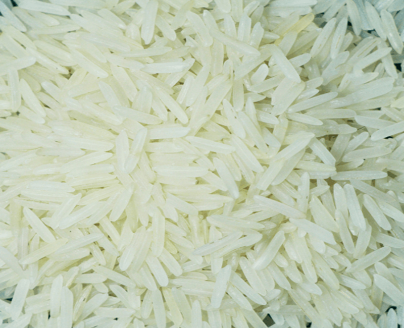 1718 White Sella Rice