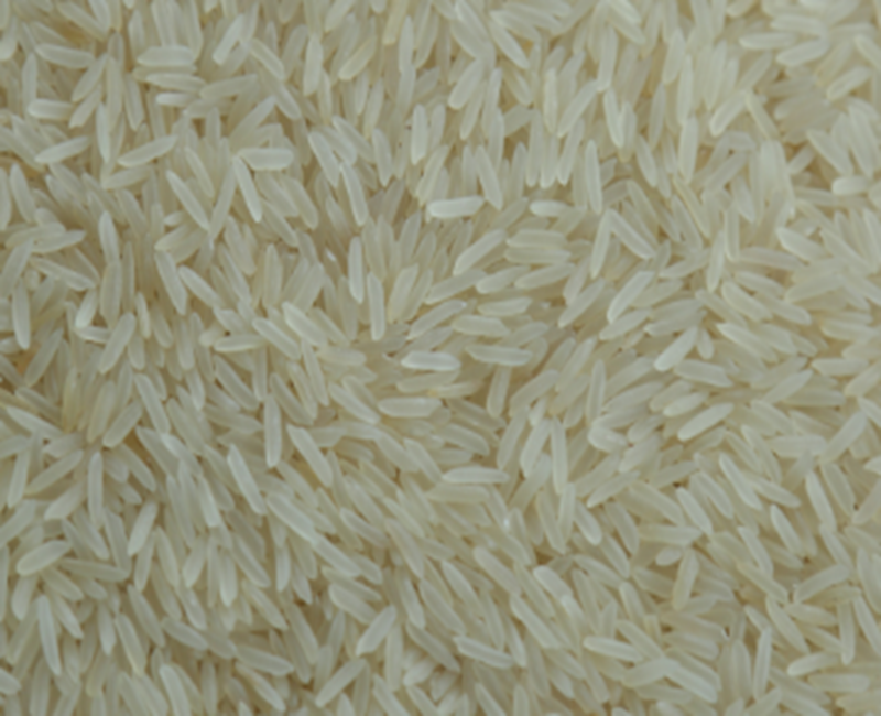 Sharbati Rice