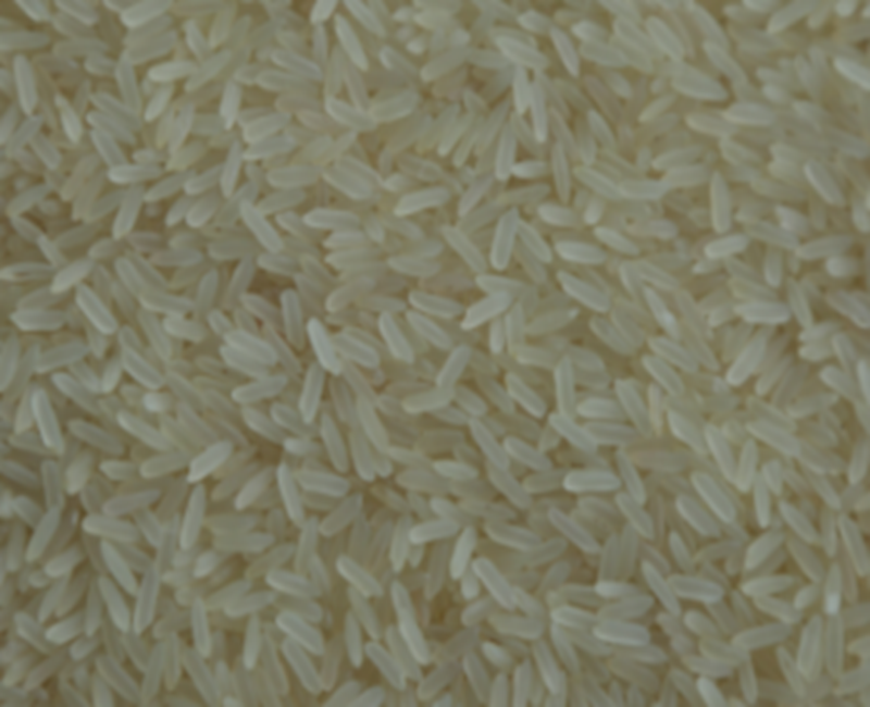 IR 64 Rice