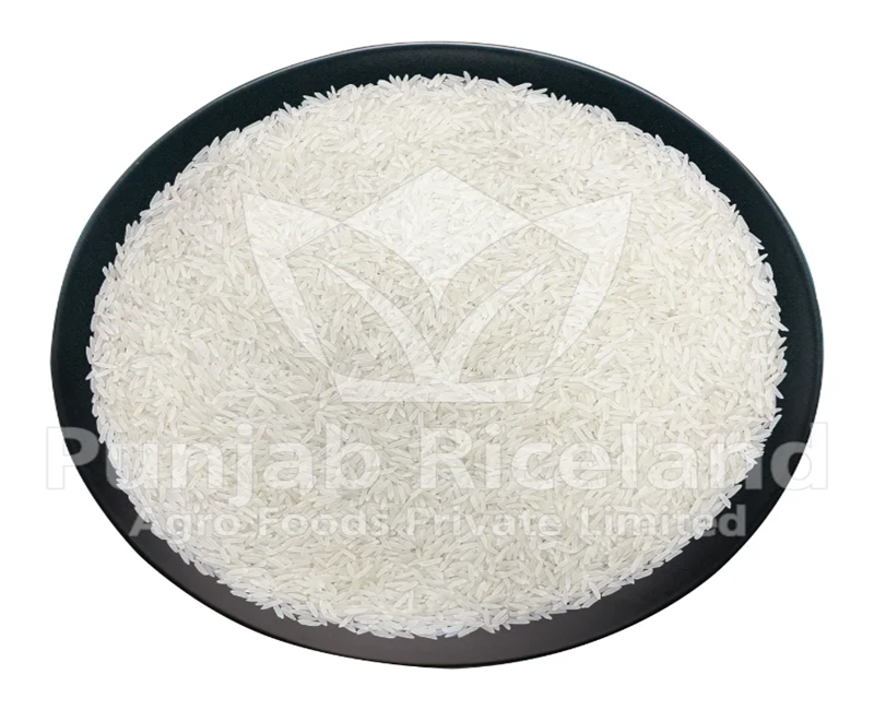1509 Steam Basmati Rice (White color)