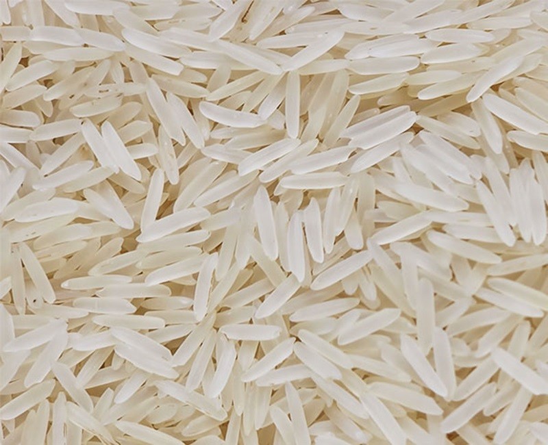 Pesticide-Free 1121 Creamy Sella