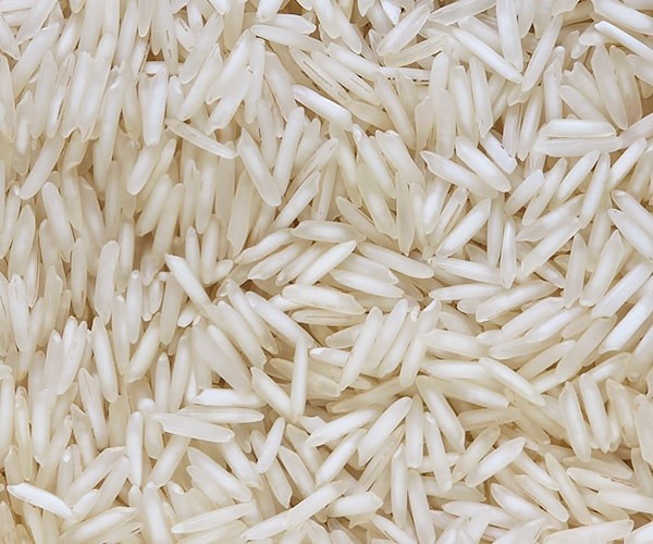 Pesticide-Free 1121 Steam