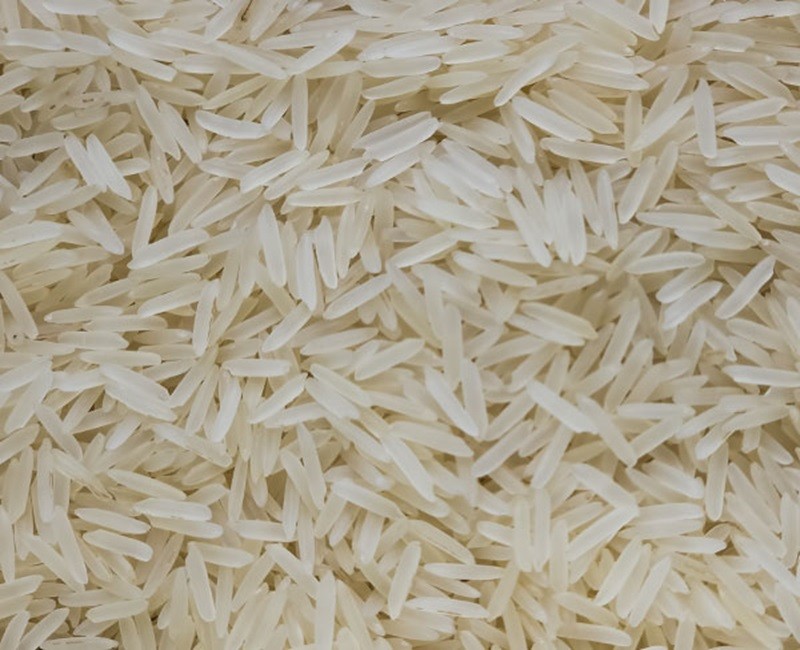 Pesticide-Free Pusa Creamy Sella