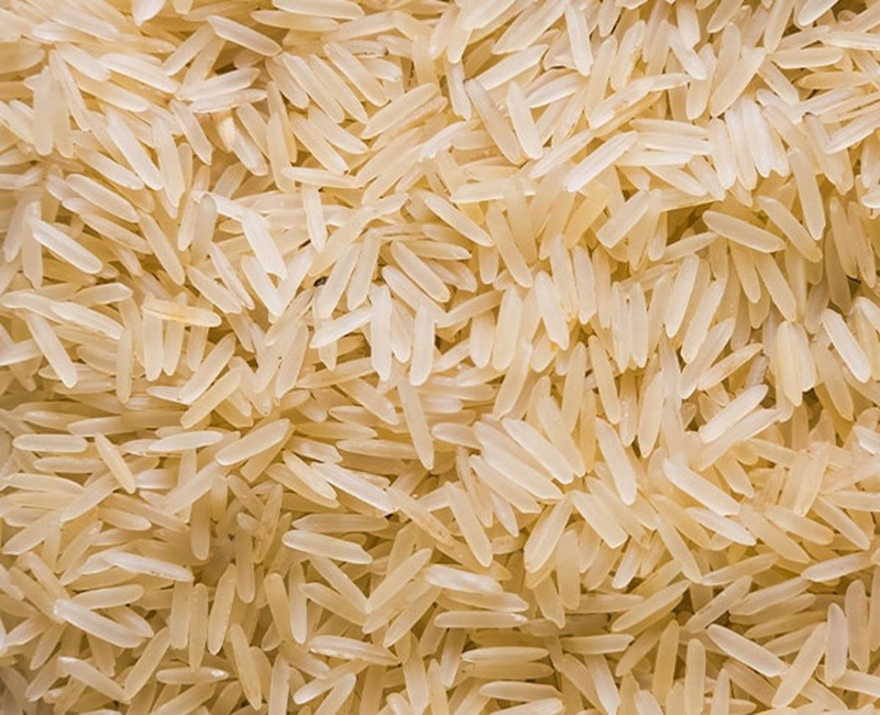 Pesticide-Free Pusa Golden Sella