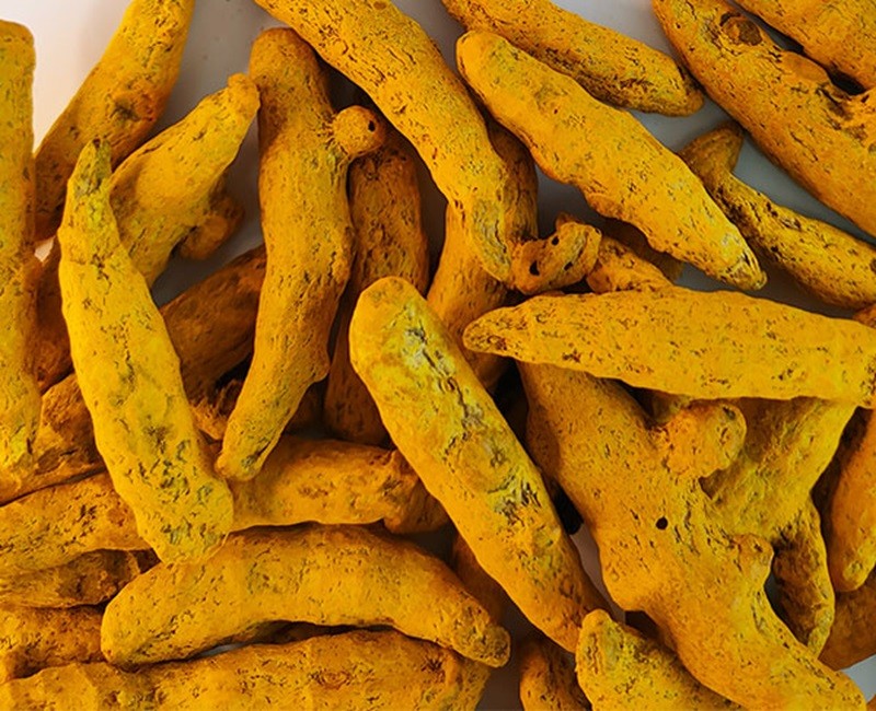 Turmeric Finger (Holud)