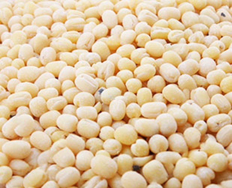Yellow Peas