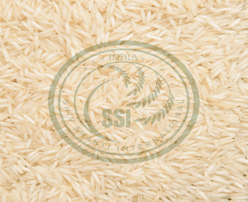 1509 Raw Basmati Rice