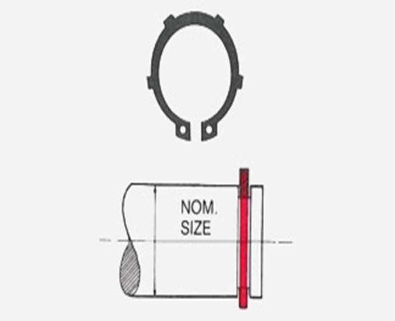 External Circlip Lugged