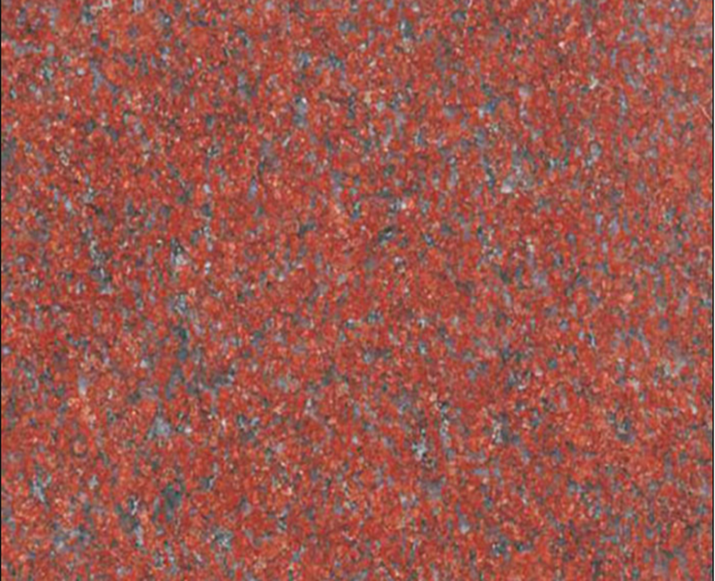 Jhansi Ruby Red