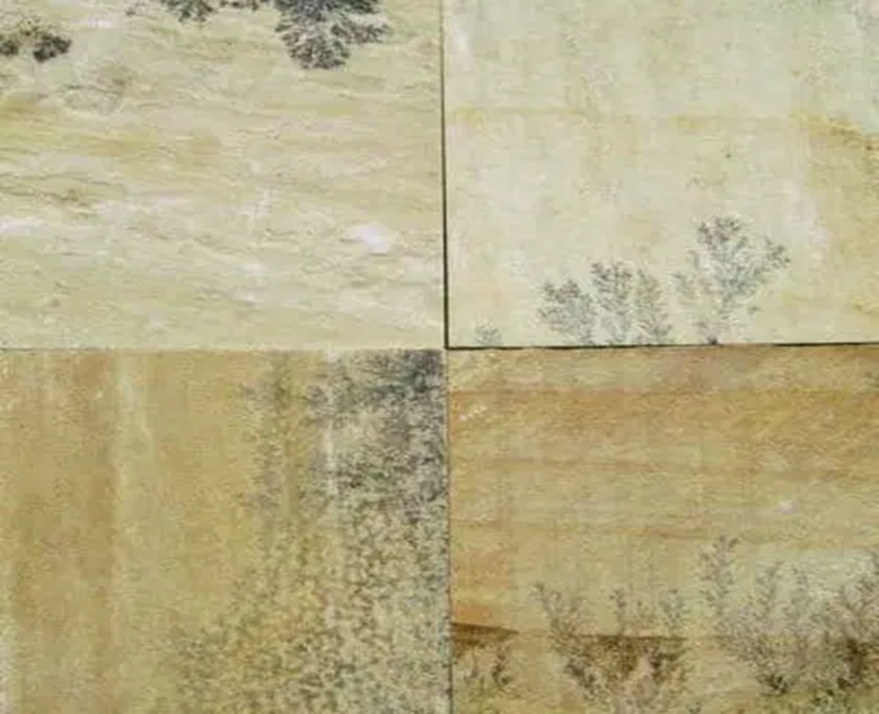 Mint Fossil Sandstone Tiles