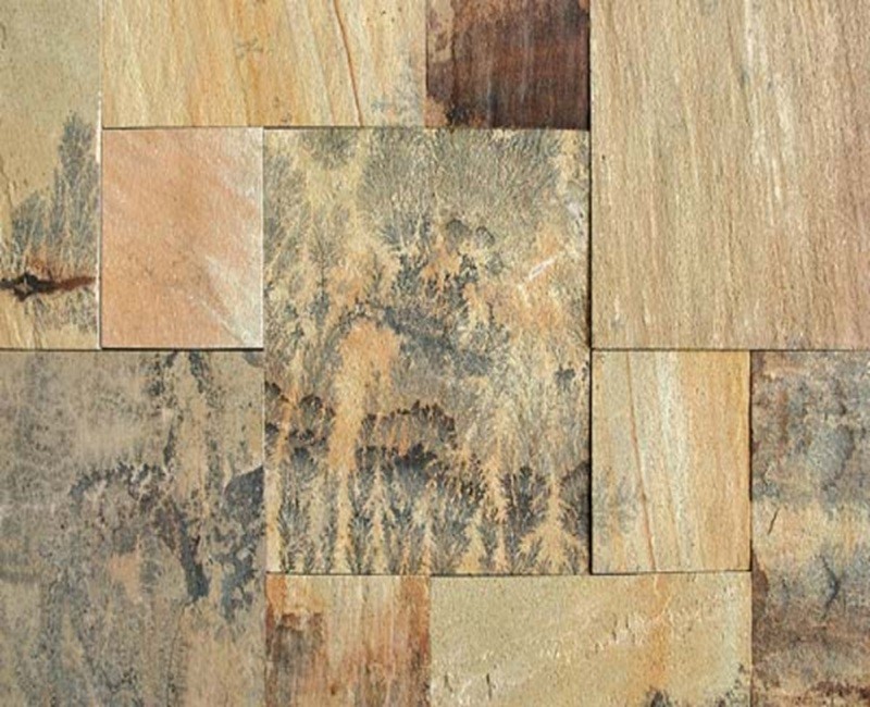 Mint Fossils Sandstone