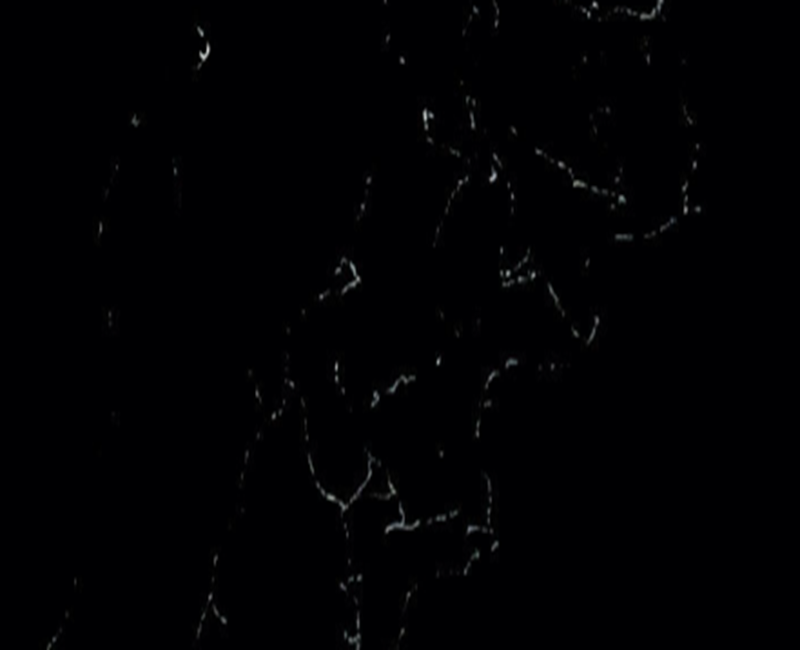 Calacatta Black and white Dongri