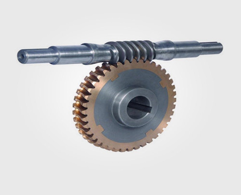 Worm Wheel