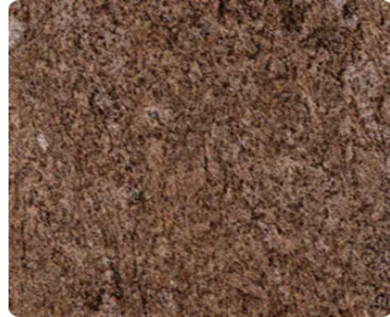 Ikan Brown