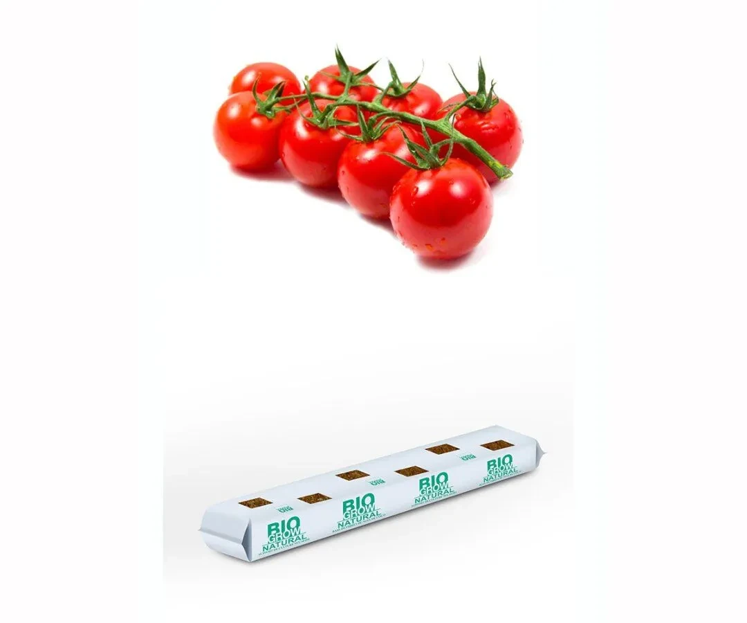 Tomato Cherry