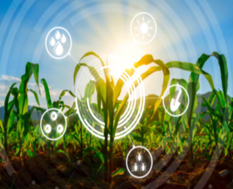 CONNECTED AGRI ECOSYSTEM