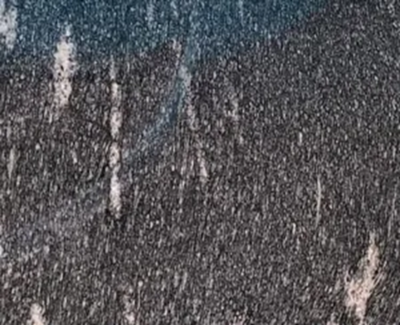 69dc80173e7c81776058391.png
