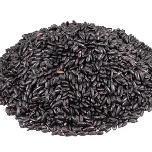 Black Rice